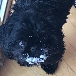 Meet your Posher, Mason